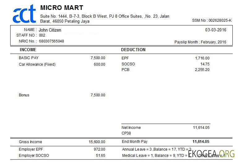 Modèle de fiche de paie MALAYSIA MICRO MART aux formats Word et PDF